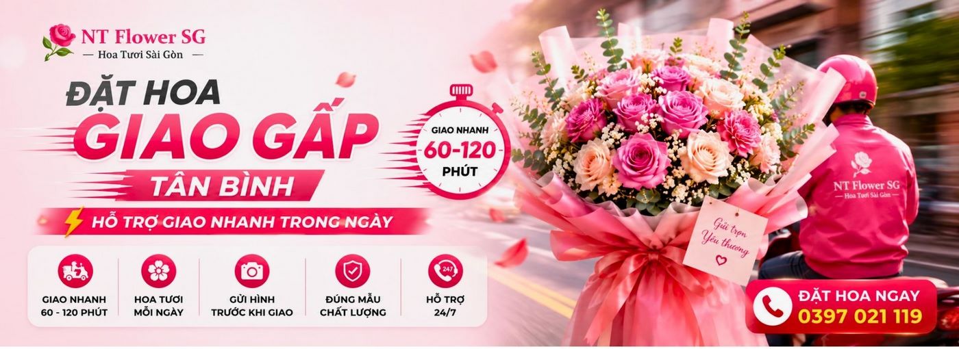 Hoa Giao Gấp Tân Bình