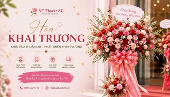 Hoa Khai Trương