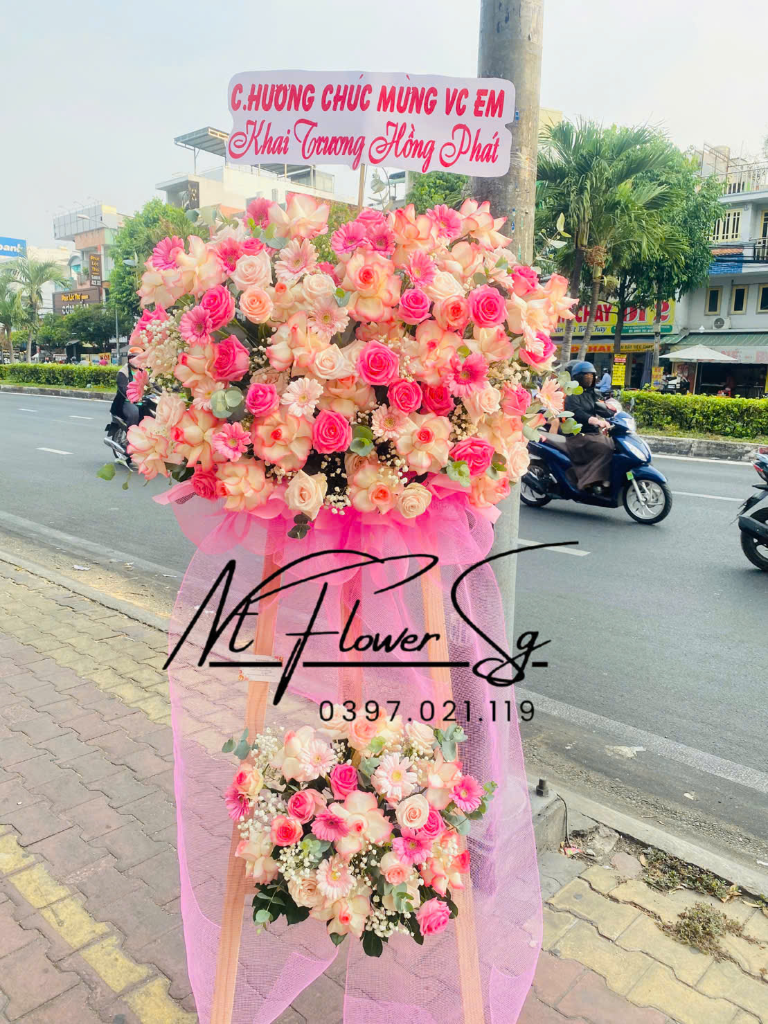 Kệ Hoa Khai Trương Hồng Mơ Mộng KT65