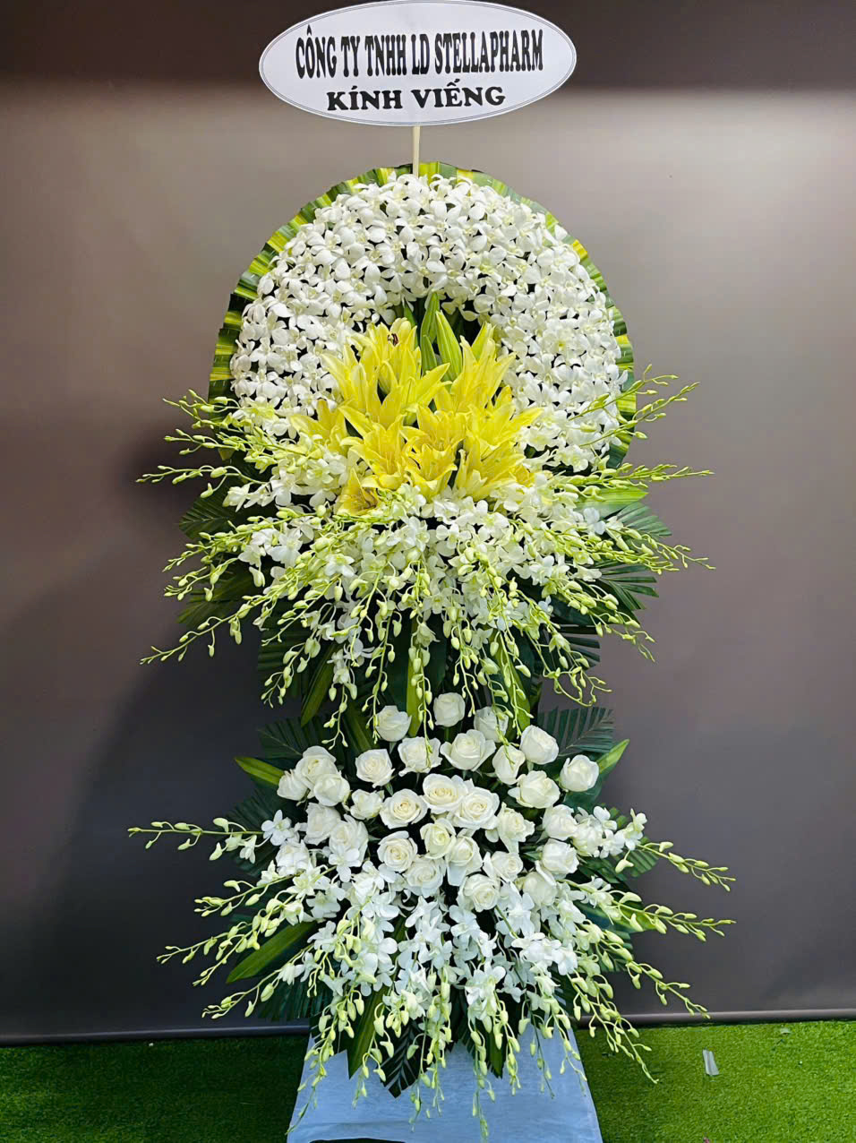 Hoa Tang Lan Trắng Đẹp HT53