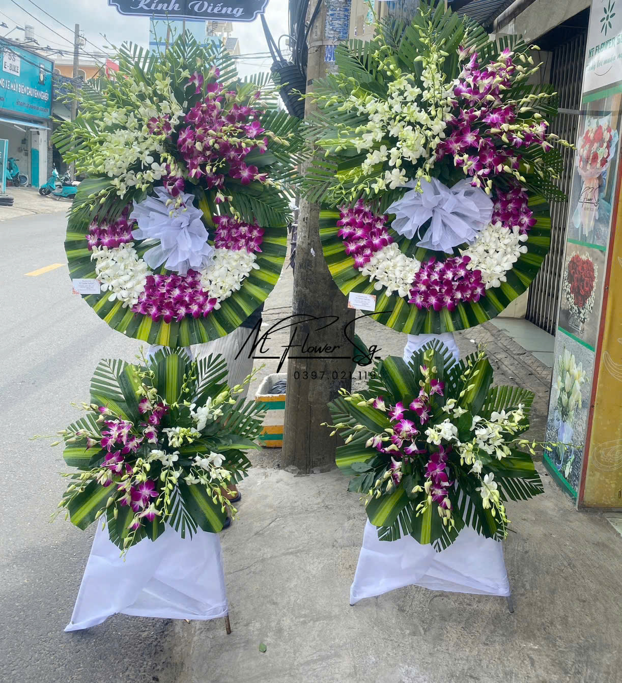 Hoa Tang Lan Tim Trắng HT82