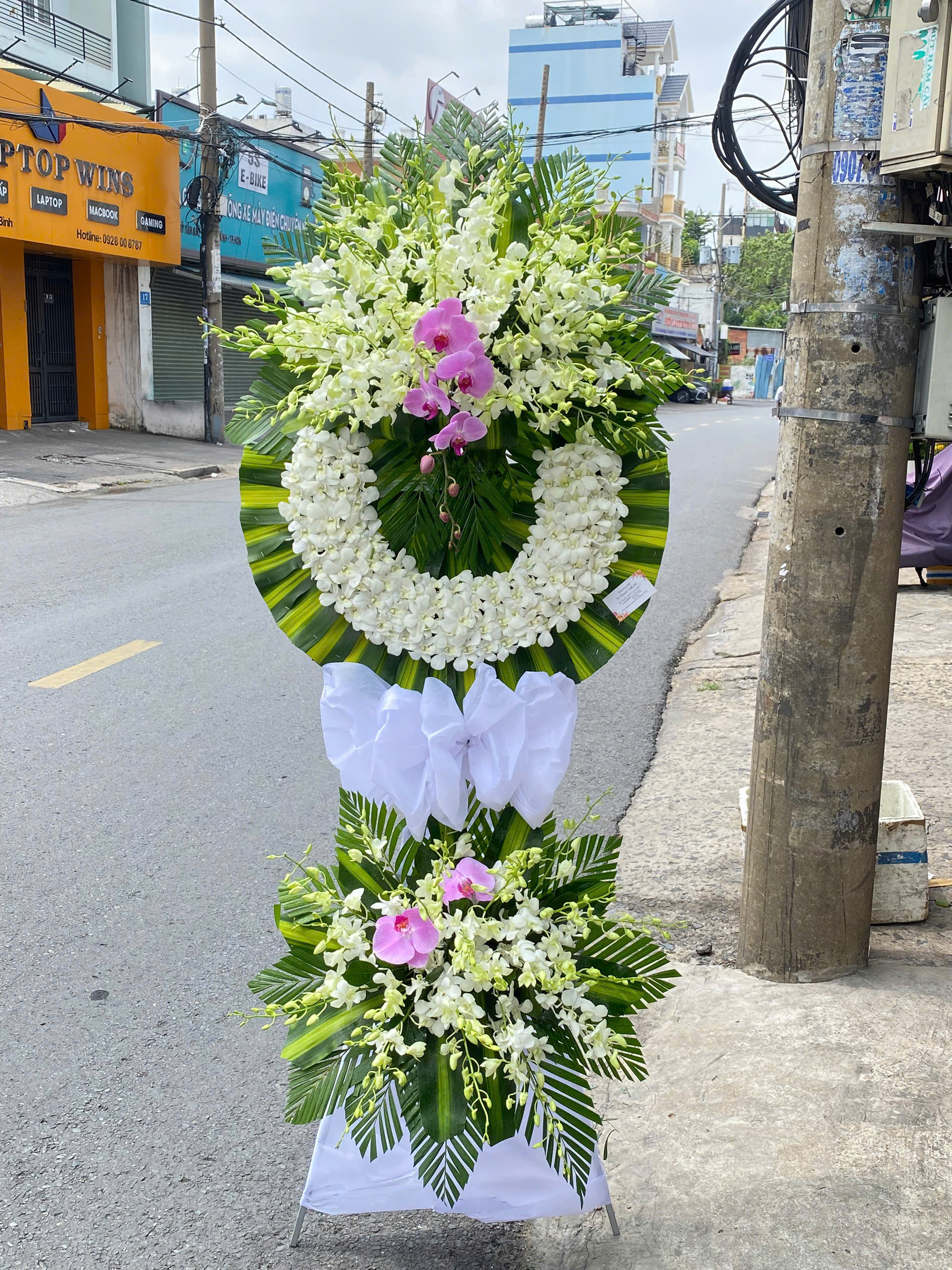 Kê Hoa Tang Trắng Và Lan Hồ Điệp Tím KT116