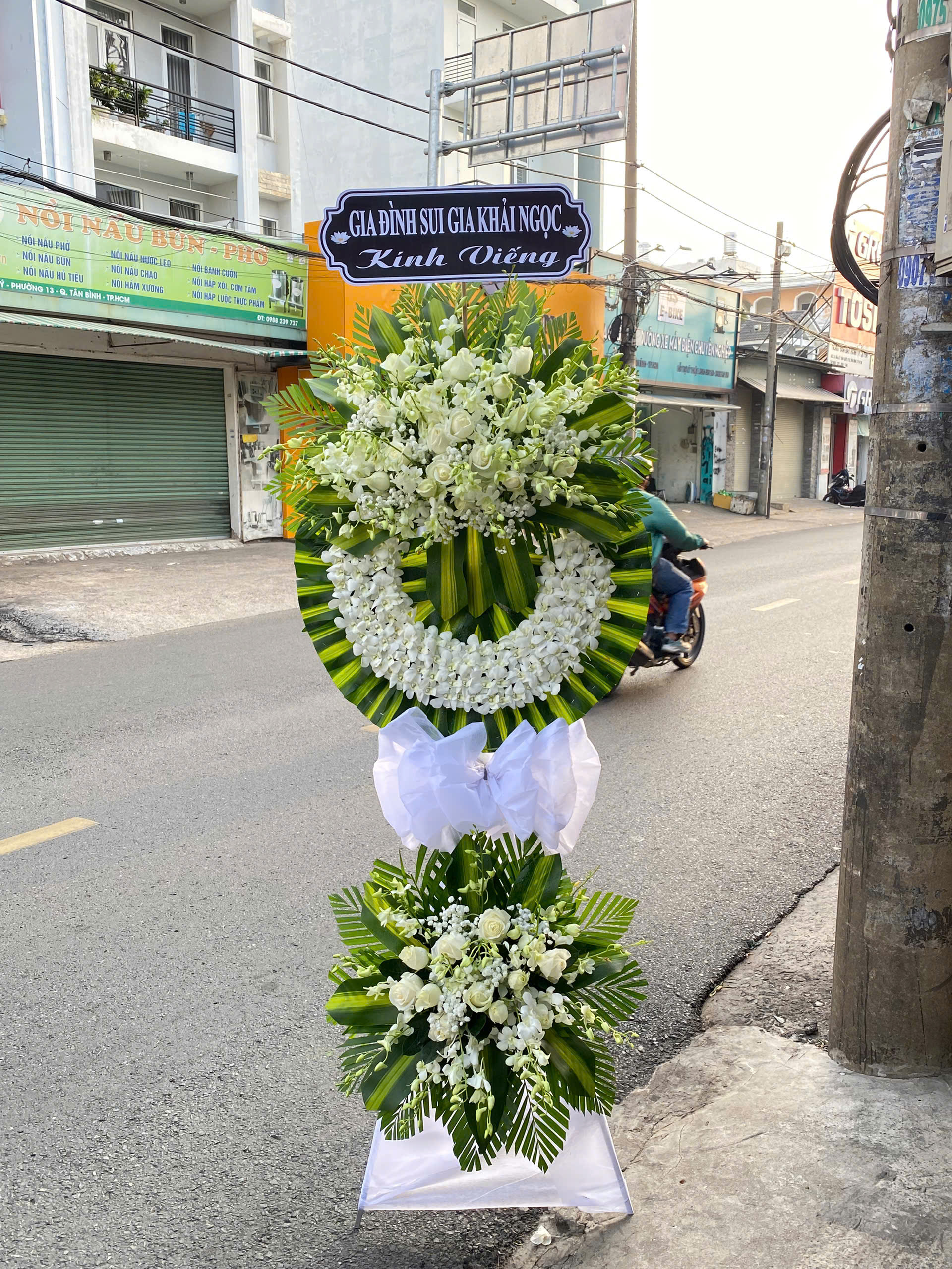 Kê Hoa Tang  Tông Trắng Mix Baby KT118