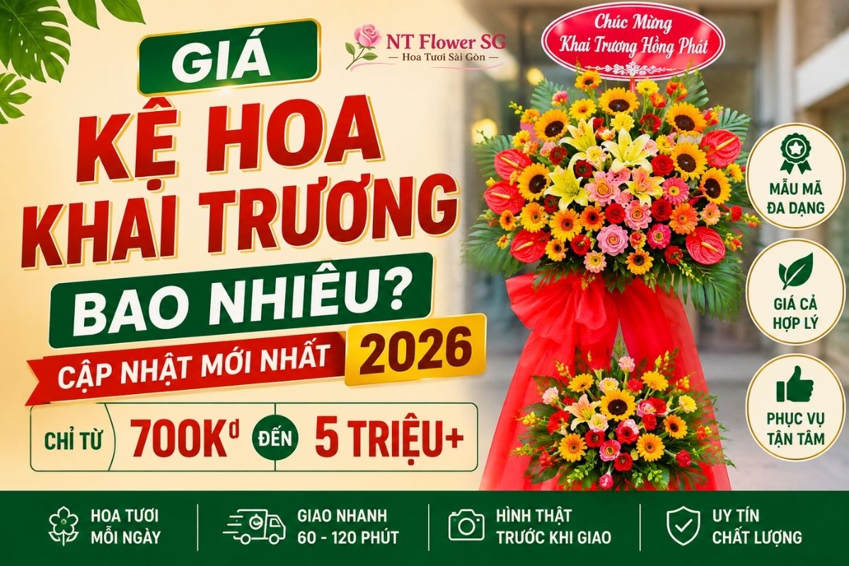 Giá Kệ Hoa Khai Trương Bao Nhiêu? Cập Nhật Mới Nhất 2026