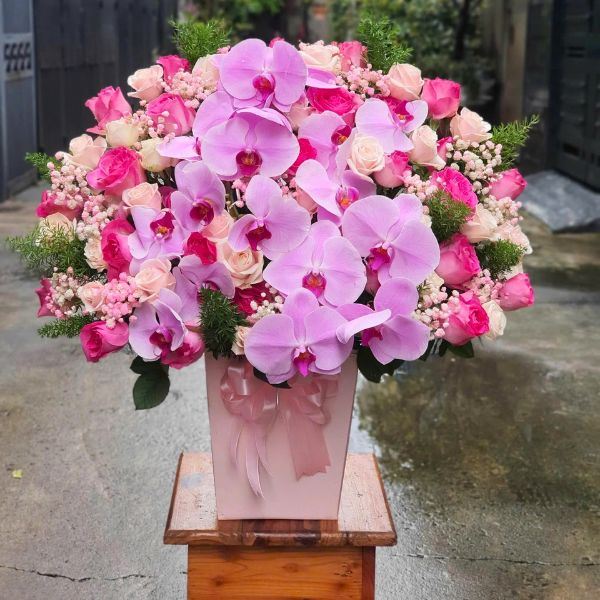 Hộp Hoa Lan Hồ Điệp Hồng Sen & Hồng Kem