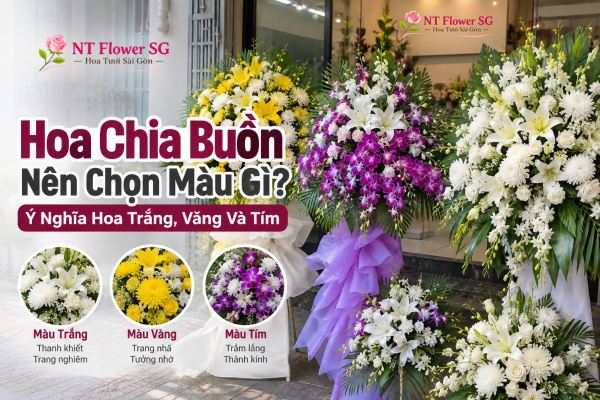 Hoa Chia Buồn Nên Chọn Màu Gì? Ý Nghĩa Hoa Trắng, Vàng Và Tím