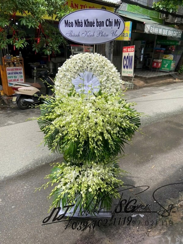 Hoa Tang Trắng Lớn HT26