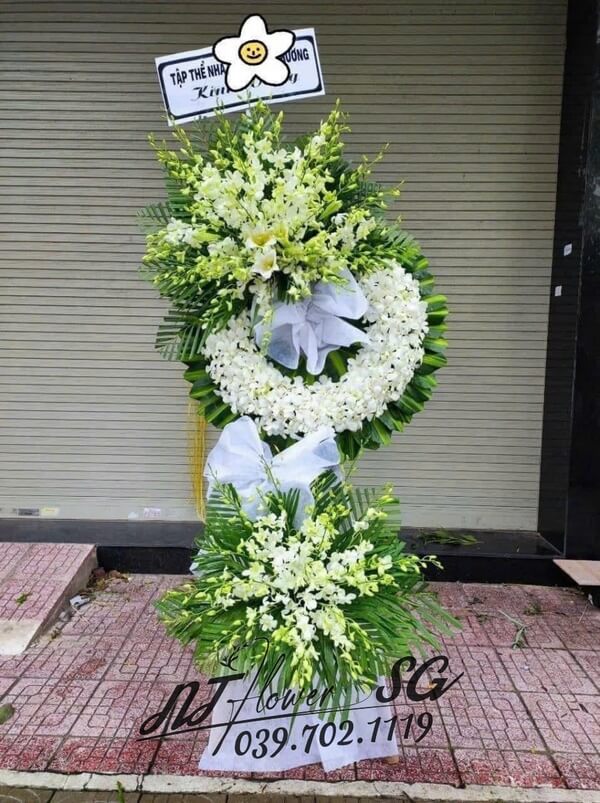 Hoa Tang Lan Ly Trắng HT30