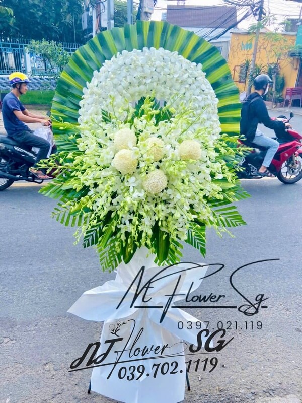 Hoa Tang  Lan Cúc Trắng HT36