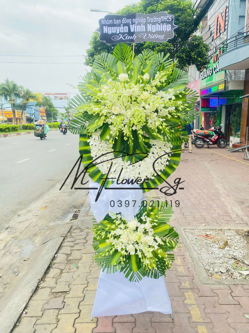 Hoa Tang Truyền Thống HT38