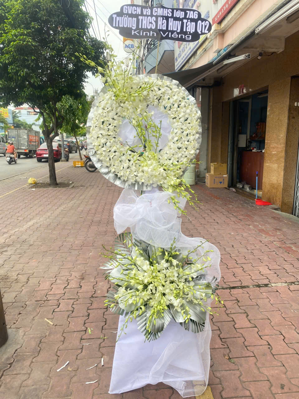 Hoa Tang trắng  HT39