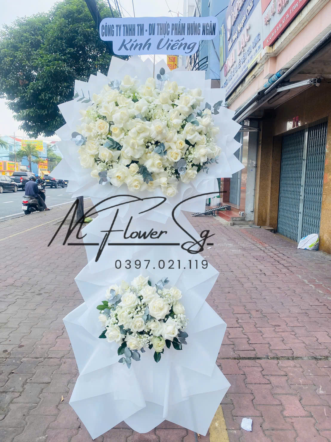 Hoa Tang Trắng HT42