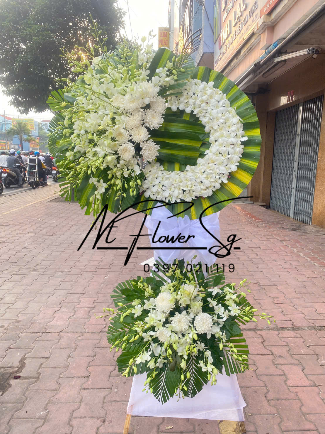 Hoa Tang Lan Cúc HT43