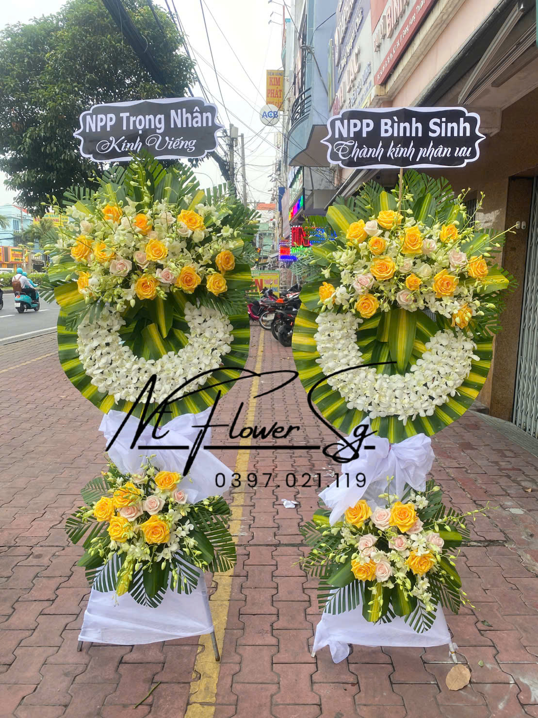 Hoa Tang  Trắng Vàng HT45